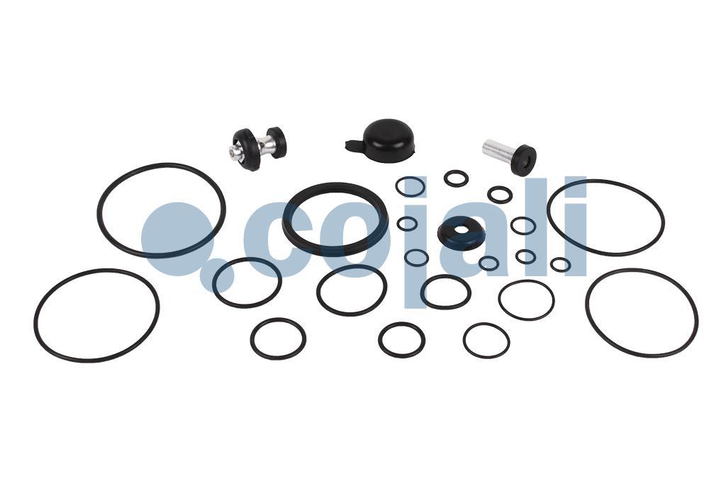 VALVE REPAIR KIT, 6014408, 076666004000