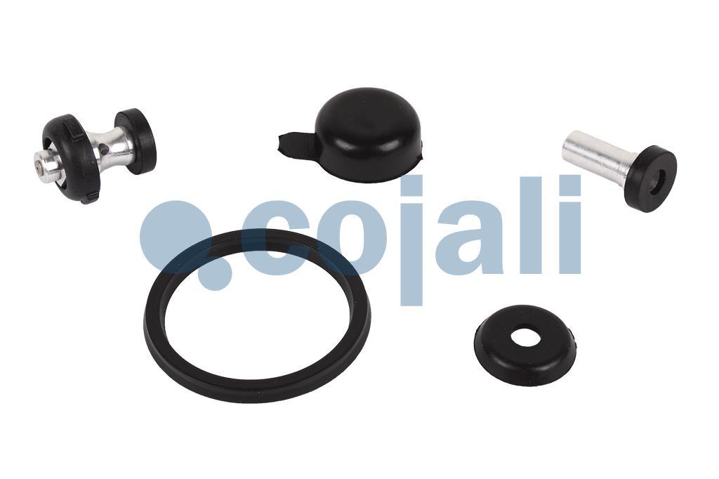 VALVE REPAIR KIT, 6014408, 076666004000