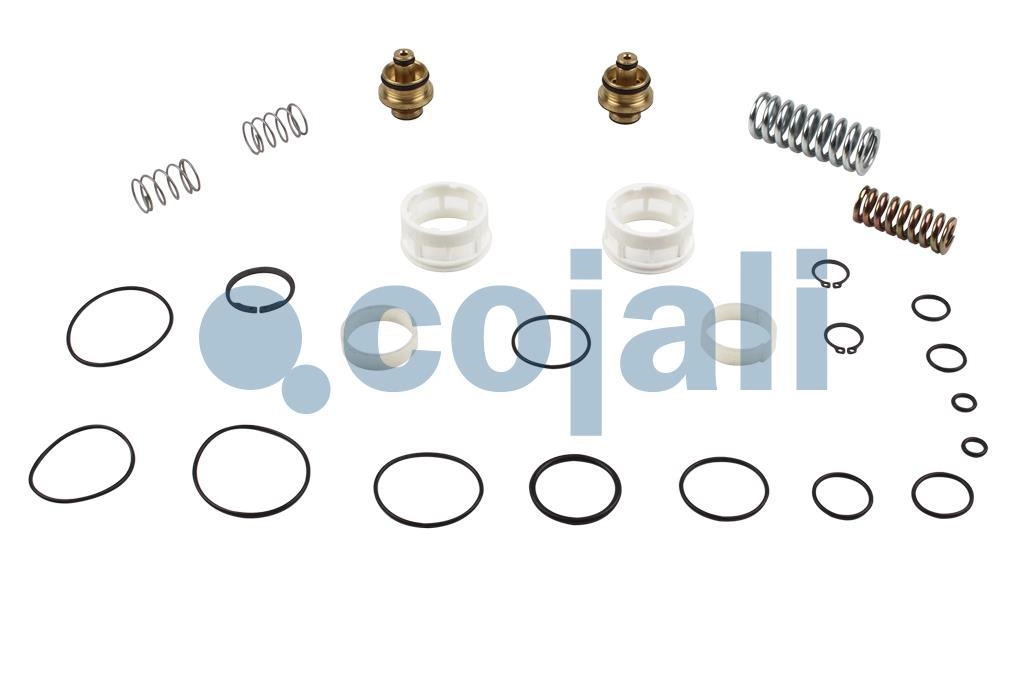 VALVE REPAIR KIT, 6014459, 076640605000*X