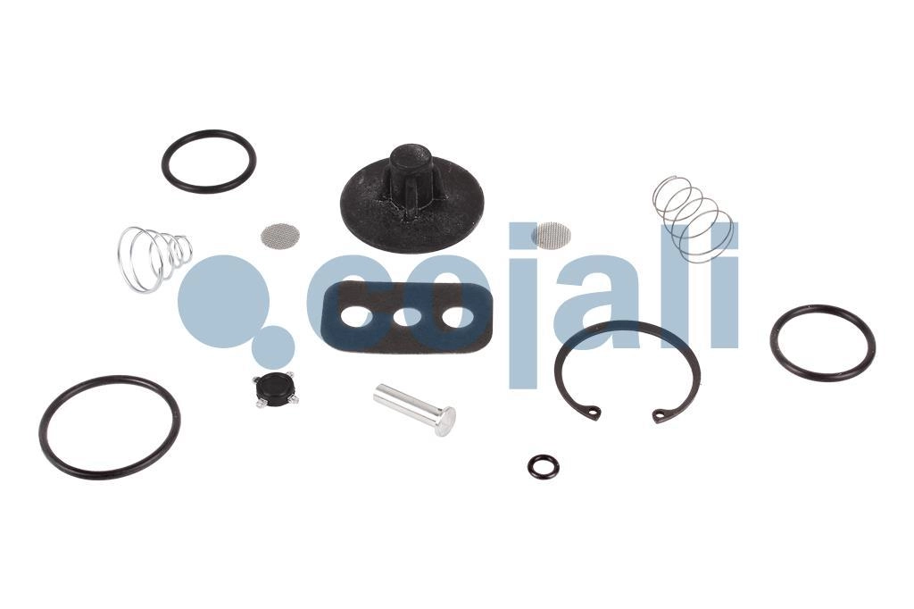 VALVE REPAIR KIT, 6014600, SK2612/1