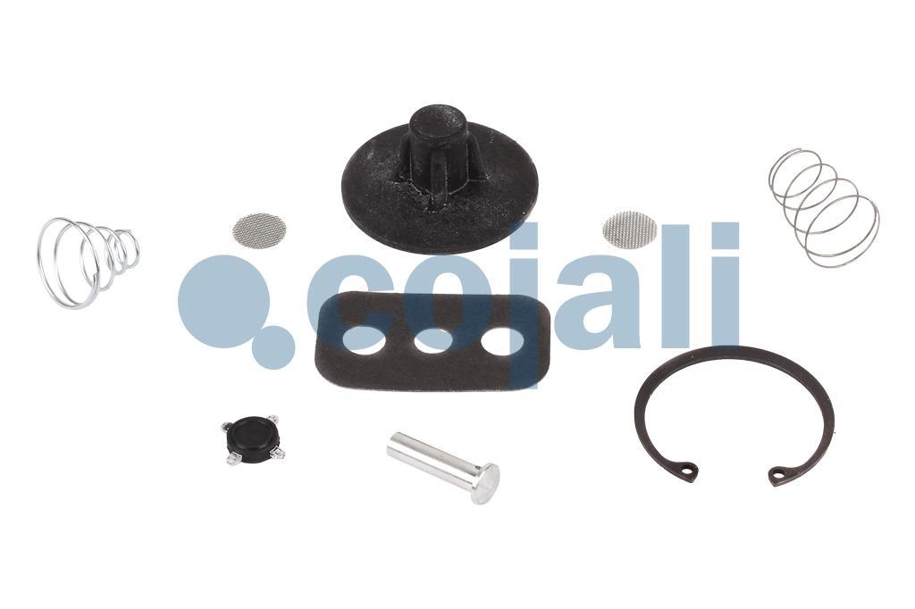 VALVE REPAIR KIT, 6014600, SK2612/1