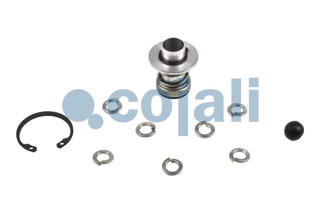 VALVE REPAIR KIT, 6014610, SK2677/1