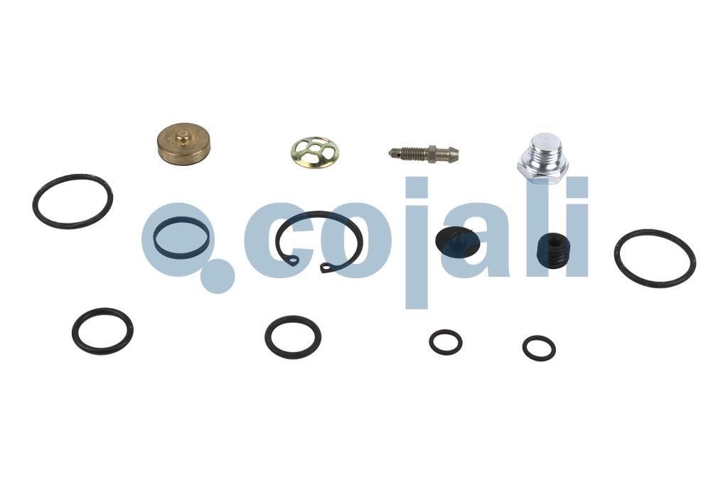 CLUTCH SERVO REPAIR KIT, 6014615, 1423079