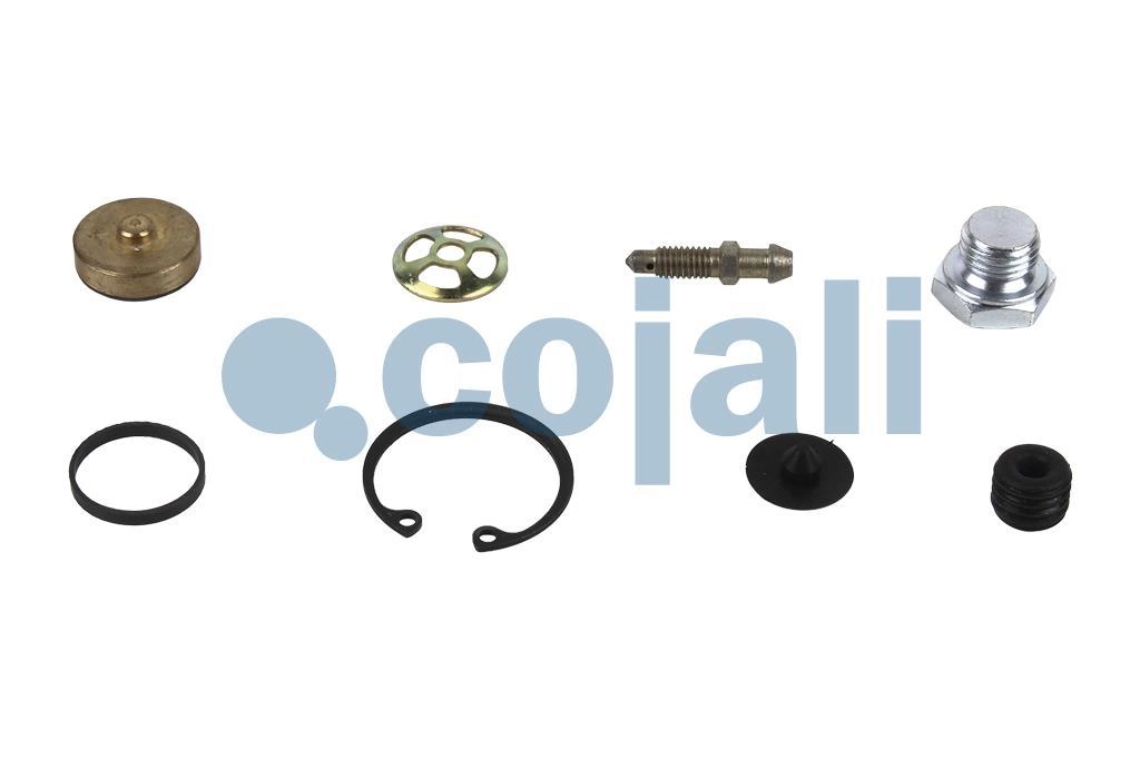 CLUTCH SERVO REPAIR KIT, 6014615, 1423079