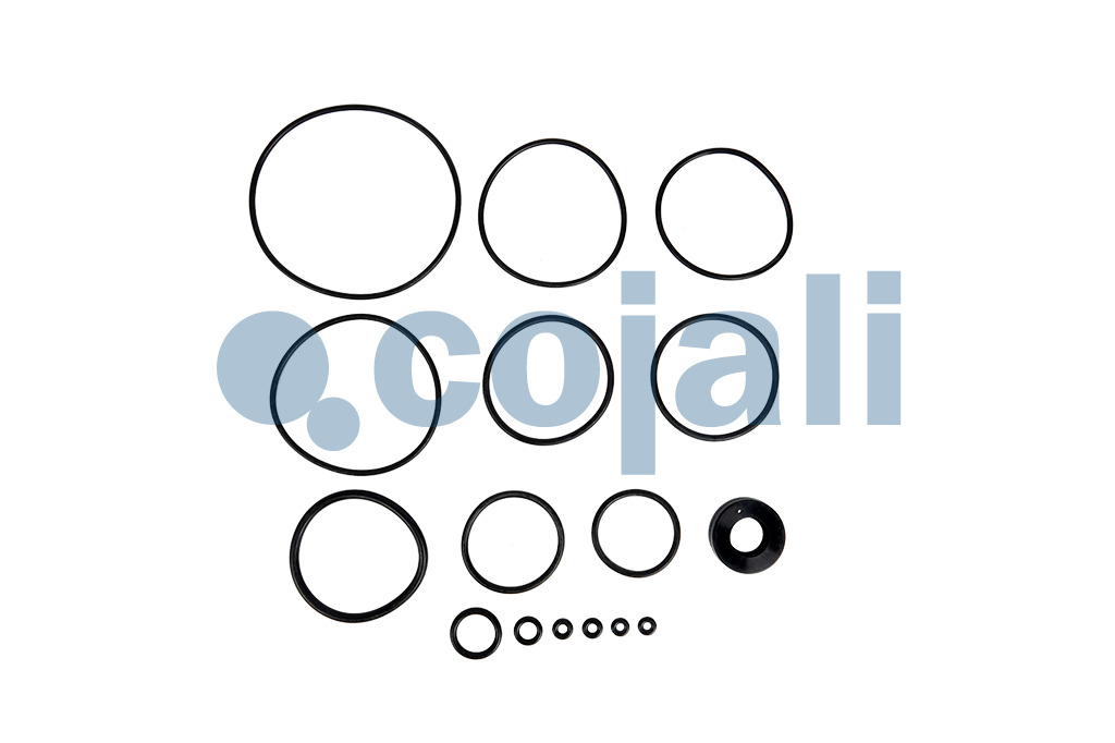 6014620 | NO OEM | VALVE REPAIR KIT - Cojali Parts