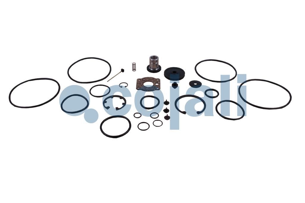 VALVE REPAIR KIT, 6016021, NO OEM