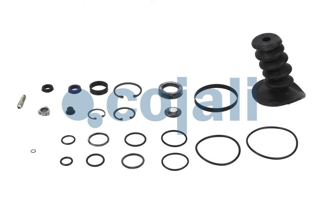 CLUTCH SERVO REPAIR KIT, 6032002, 4026255*X