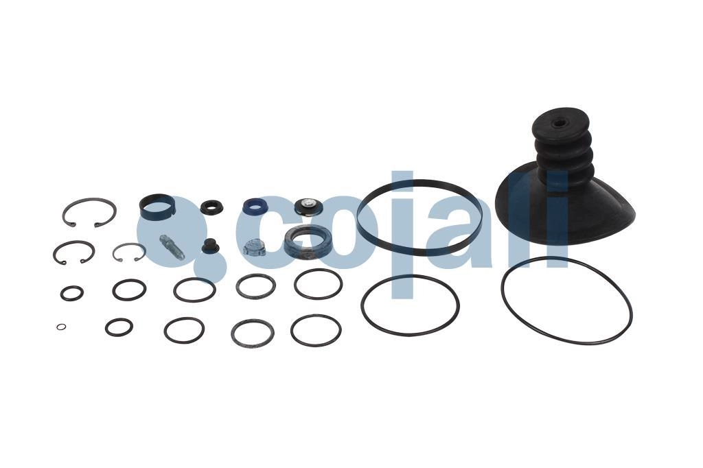 CLUTCH SERVO REPAIR KIT, 6032004, 4039943*X