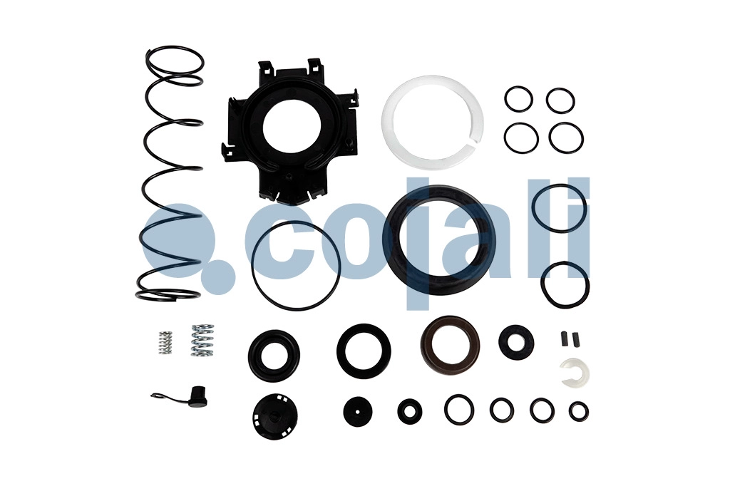 CLUTCH SERVO REPAIR KIT, 6032011, 9700519772