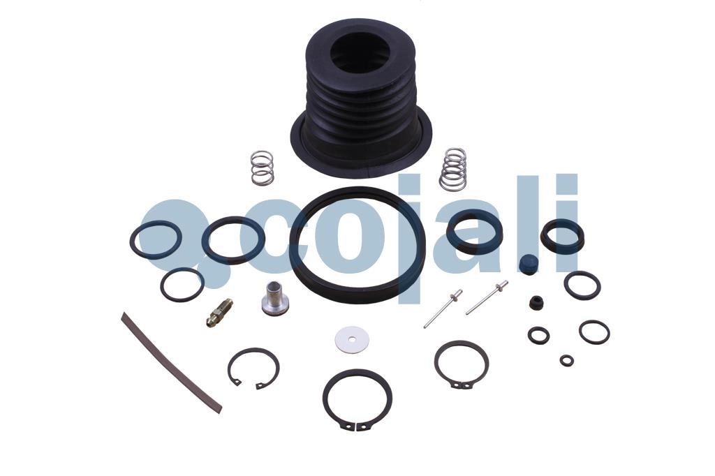 CLUTCH SERVO REPAIR KIT, 6034002, II14195008