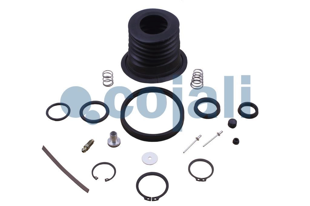 CLUTCH SERVO REPAIR KIT, 6034002, II14195008