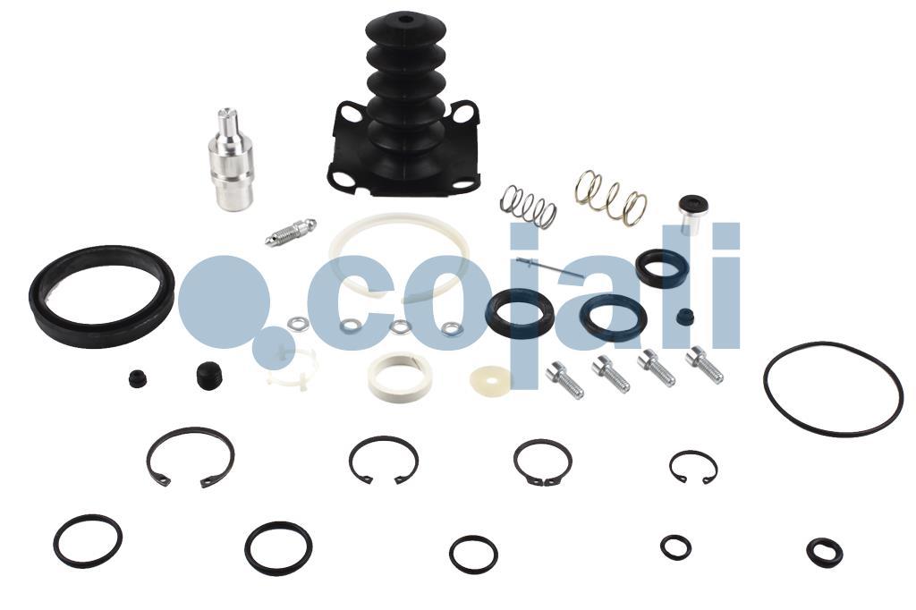 CLUTCH SERVO REPAIR KIT, 6034004, I84613