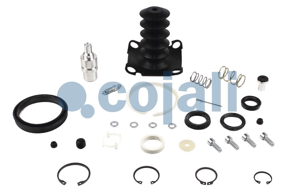 CLUTCH SERVO REPAIR KIT, 6034004, I84613