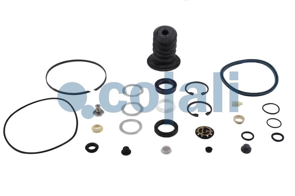 CLUTCH SERVO REPAIR KIT, 6034020, NO OEM