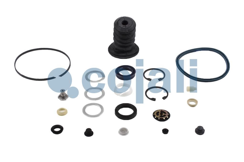 CLUTCH SERVO REPAIR KIT, 6034020, NO OEM