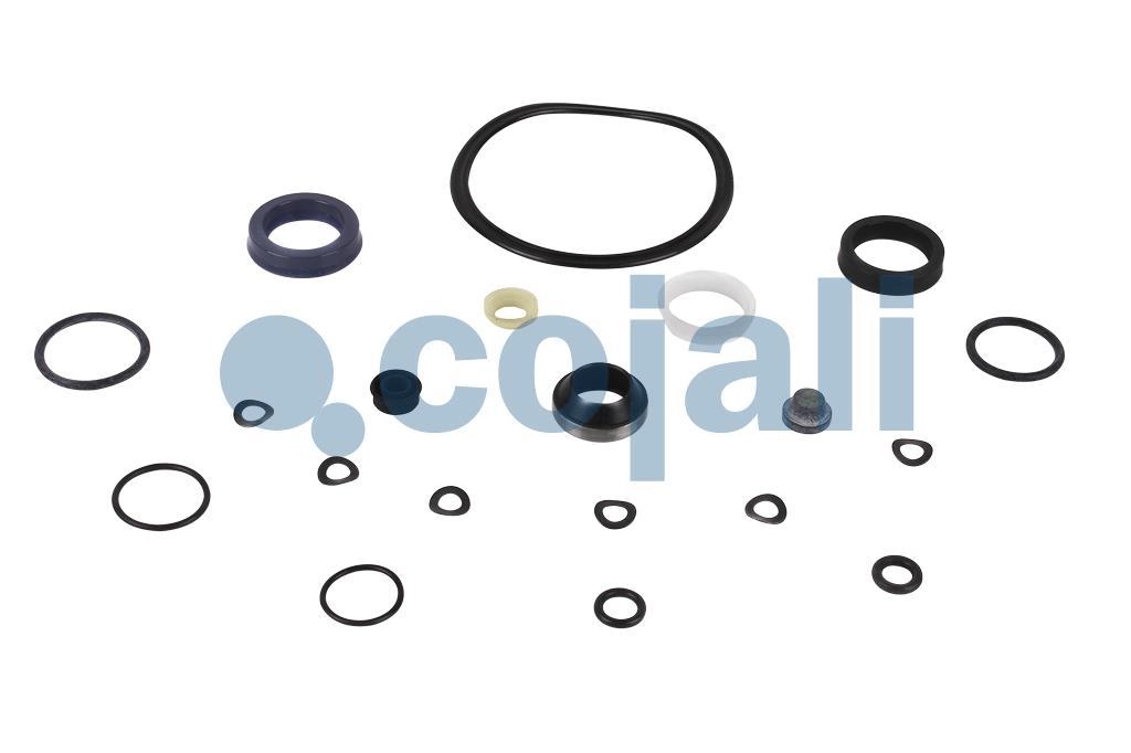 CLUTCH SERVO REPAIR KIT, 6034039, 622135AM