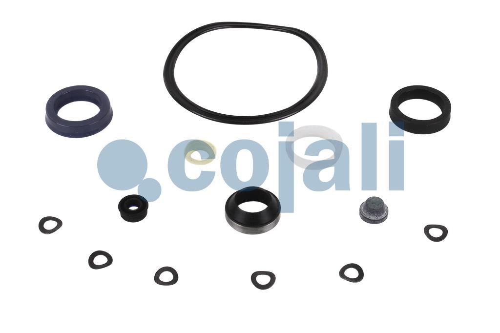 CLUTCH SERVO REPAIR KIT, 6034039, 622135AM