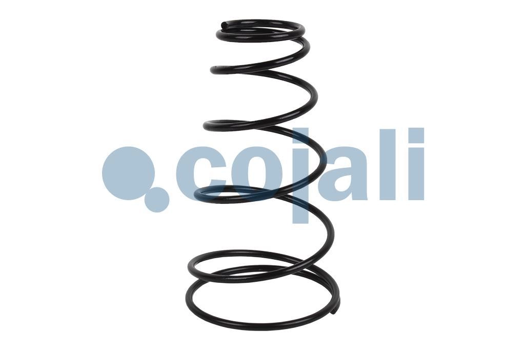 SPRING BRAKE REPAIR KIT, 6052003, 4023924