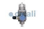 REGULATOR DE PRESIUNE , 2228112, 9753001100