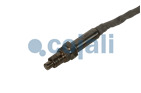 NOX SENSOR, 2269089, 2296798