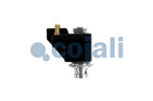 VALVE DE FREIN MOTEUR, 2841001, 20913287