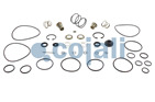 VALVE REPAIR KIT, 6012063, 4613070022