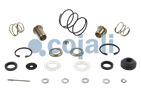 VALVE REPAIR KIT, 6012063, 4613070022