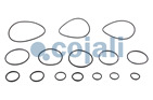 VALVE REPAIR KIT, 6012063, 4613070022