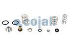 VALVE REPAIR KIT, 6012102, NO OEM