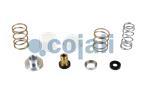 VALVE REPAIR KIT, 6012102, NO OEM