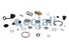 VALVE REPAIR KIT, 6012113, NO OEM