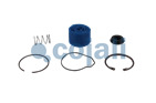 VALVE REPAIR KIT, 6014056, NO OEM