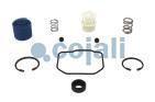 VALVE REPAIR KIT, 6014066, NO OEM