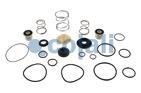 VALVE REPAIR KIT, 6014134, I80450