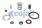 VALVE REPAIR KIT, 6014147, II36245008*X