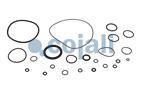 VALVE REPAIR KIT, 6014147, II36245008*X