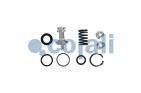 VALVE REPAIR KIT, 6014240, K066243K50