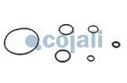 CLUTCH SERVO REPAIR KIT, 6034004, I84613