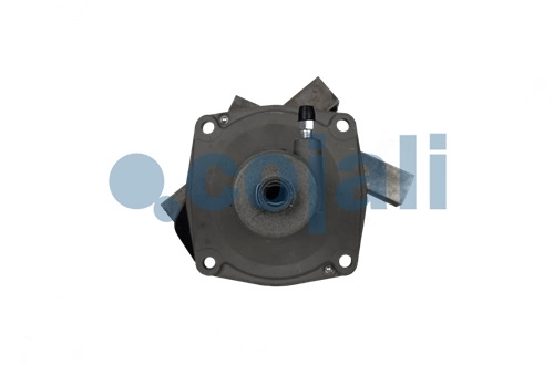 CLUTCH SERVO, 2250195, 9700515030