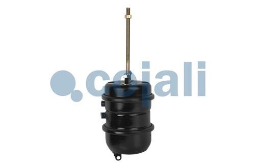 DOUBLE DIAPHRAGM SPRING BRAKE 30/30, 2251431, 9253771000