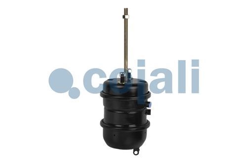 DOUBLE DIAPHRAGM SPRING BRAKE 30/30, 2251431, 9253771000