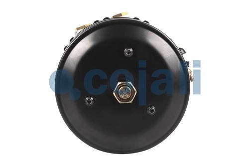 SPRING BRAKE (CAM BRAKE) 20/24, 2259108, 9254301000