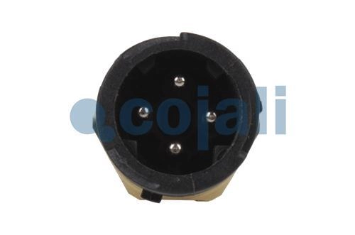 PRESSURE SWITCH, 2260216, 20898038