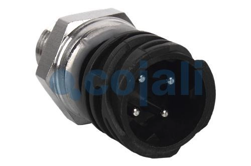 PRESSURE SWITCH, 2260283, 21634021