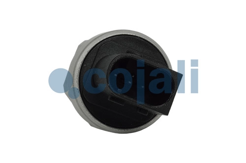 AIR PRESSURE SENSOR, 2260930, 4410442040