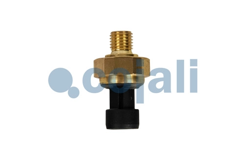 AIR PRESSURE SENSOR, 2260951, 9795420318