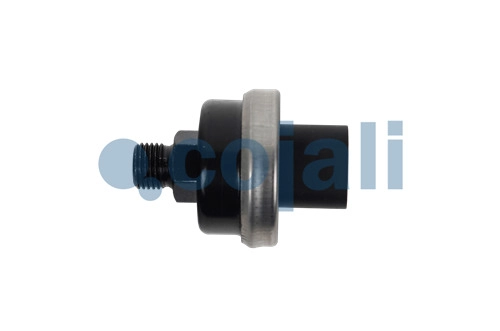 OIL PRESSURE SENSOR | 2260994