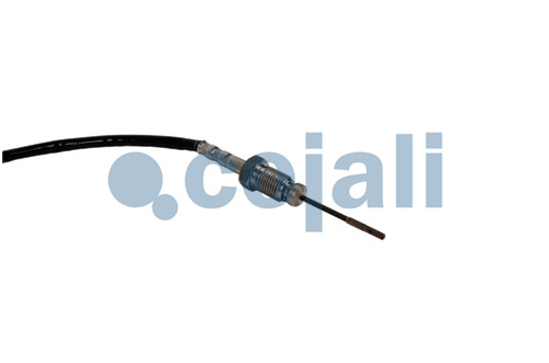 EXHAUST GAS TEMPERATURE SENSOR, 2262028, 226405244R