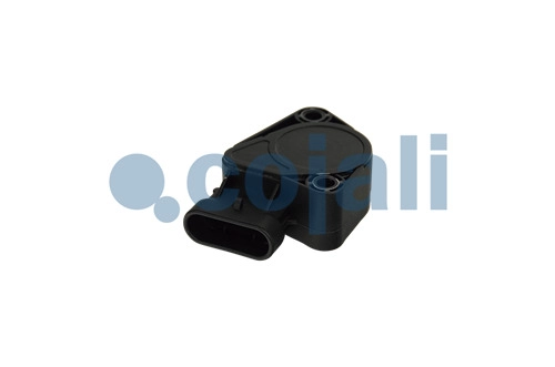 ACCELERATOR POSITION SENSOR | 2262033