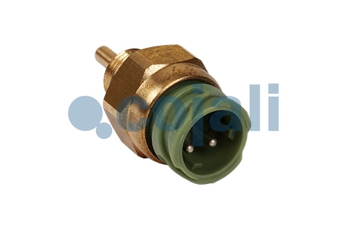 FUEL TEMPERATURE SENSOR, 2262752, 1844101